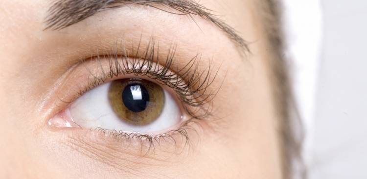 Look Into Your Eyes: Common Eye Problems