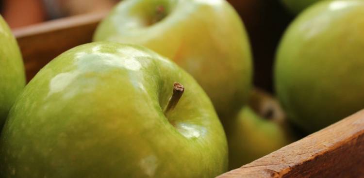 Health Benefits of Apple Cider Vinegar