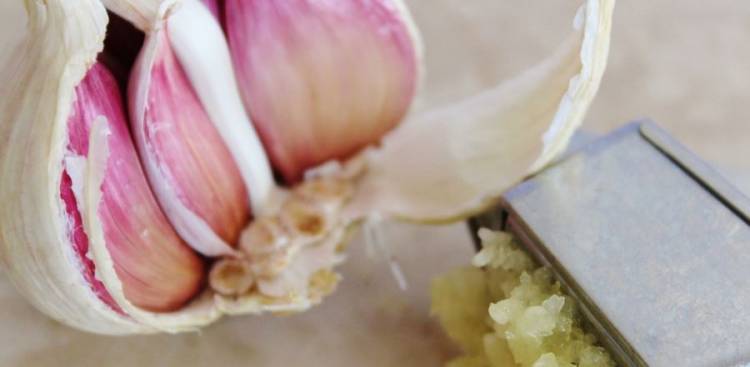 Health Benefits of Garlic