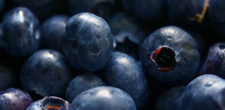 Health Benefits of Bilberry
