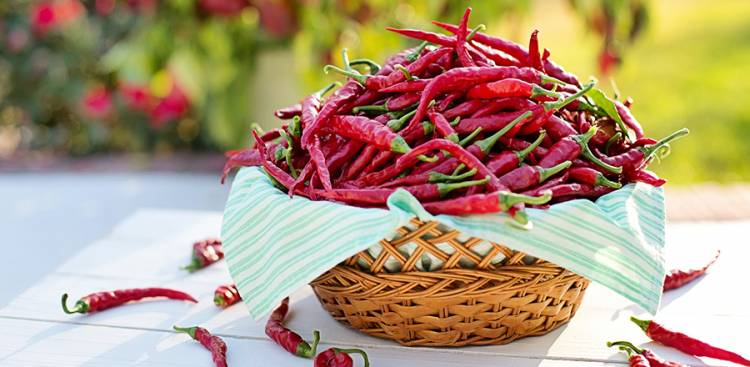 Health Benefits of Capsicum / Capsaicin