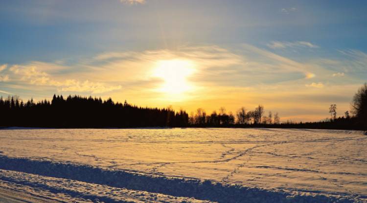 Vitamin D for SAD: Does It Really Help?