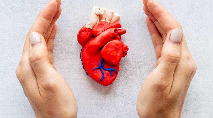 Common Supplements for Heart Health