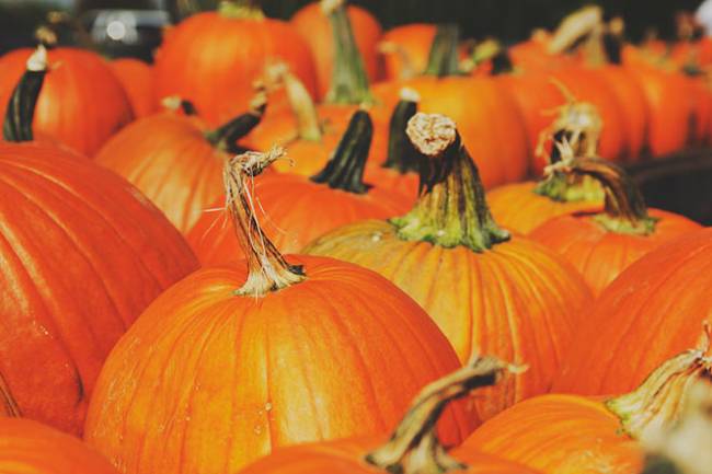 7 Surprising Benefits of Pumpkin Seeds