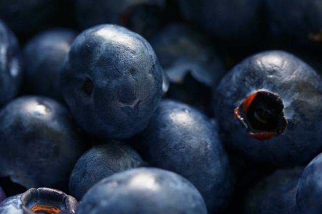 Health Benefits of Bilberry
