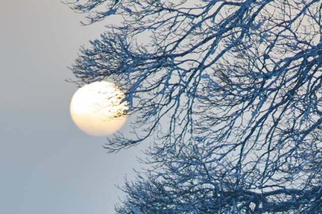 Top Supplements for SAD